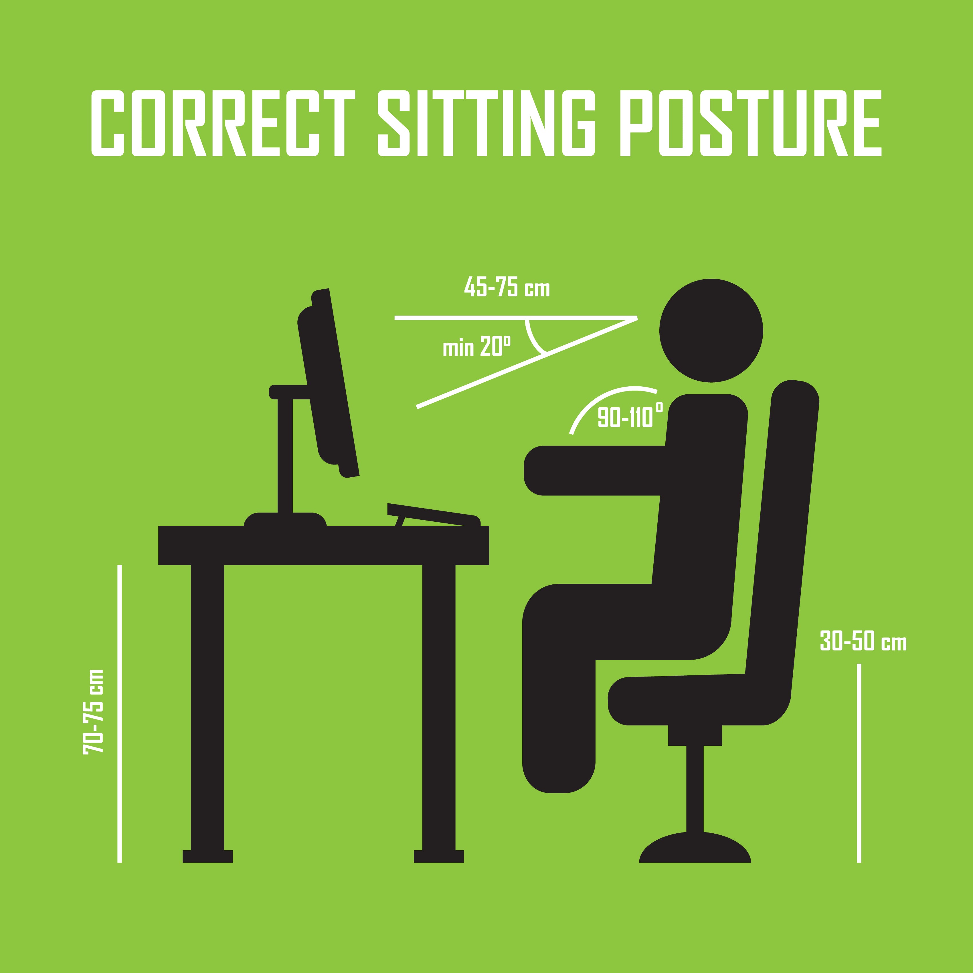 Ergonomics in the Workplace: The Science Behind Ergonomic Office