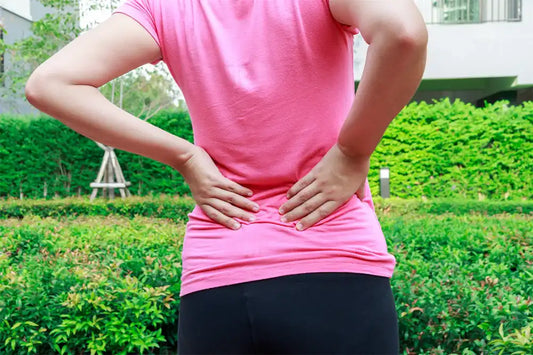 Save Your Spine: 5 Critical Reasons to Upgrade to an Ergonomic Office