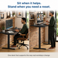 Rise Up Electric Standing Desk & Frame