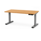 Rise Up Electric Standing Desk & Frame