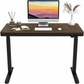 Rise Up Essential Electric Standing Desk