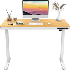 Single Monitor Arm with 2 USB Ports