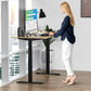 Rise Up - electric adjustable height standing desk