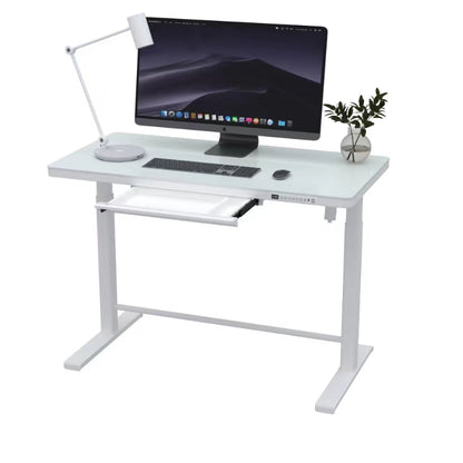 Rise Up Glass Electric Standing Desk