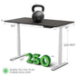 Rise Up - electric adjustable height standing desk