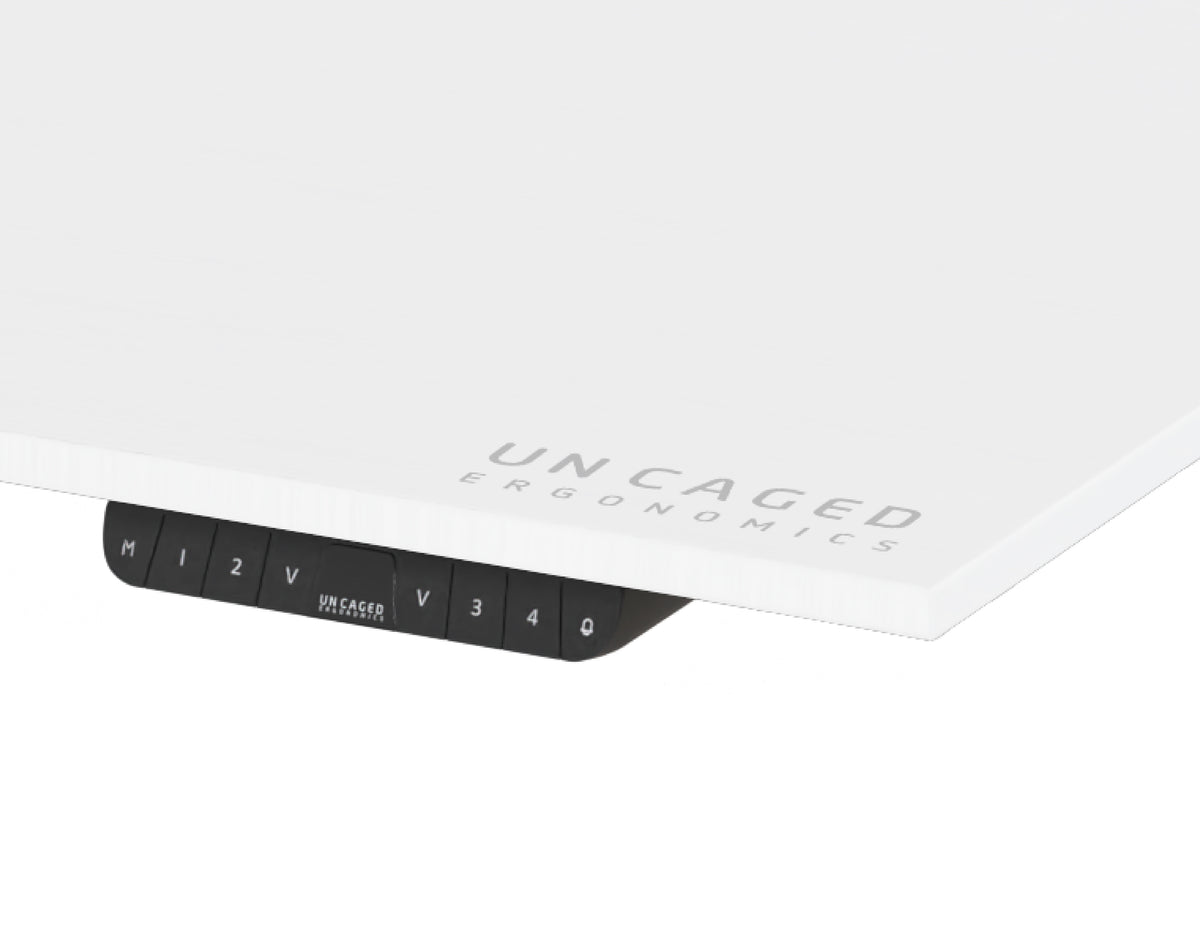 Single Motor Electric Standing Desk Frame