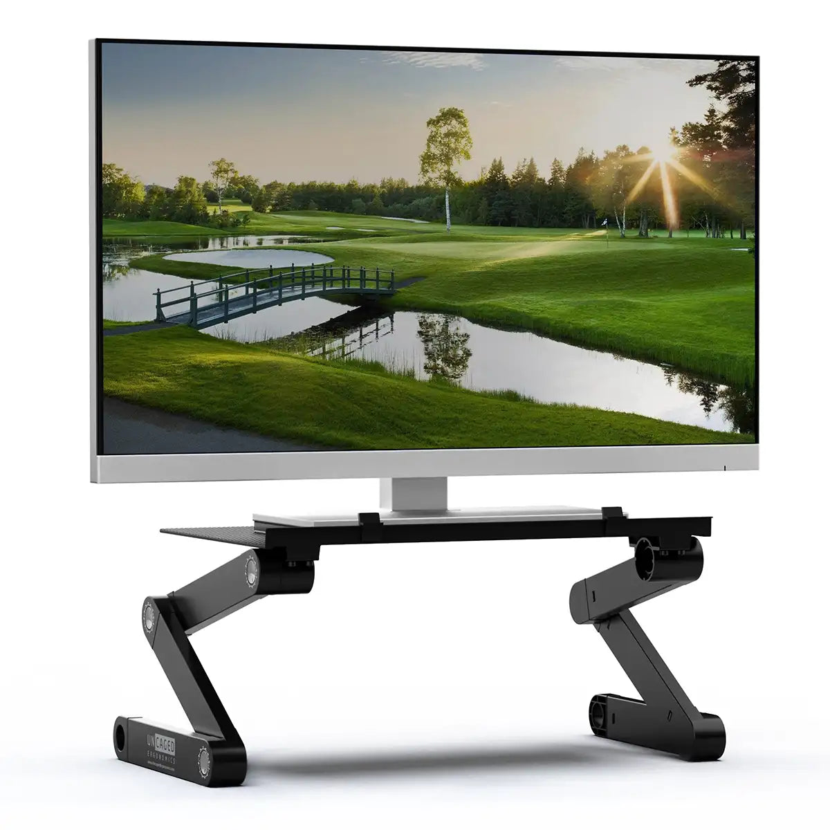 Monitor Arms & Risers
